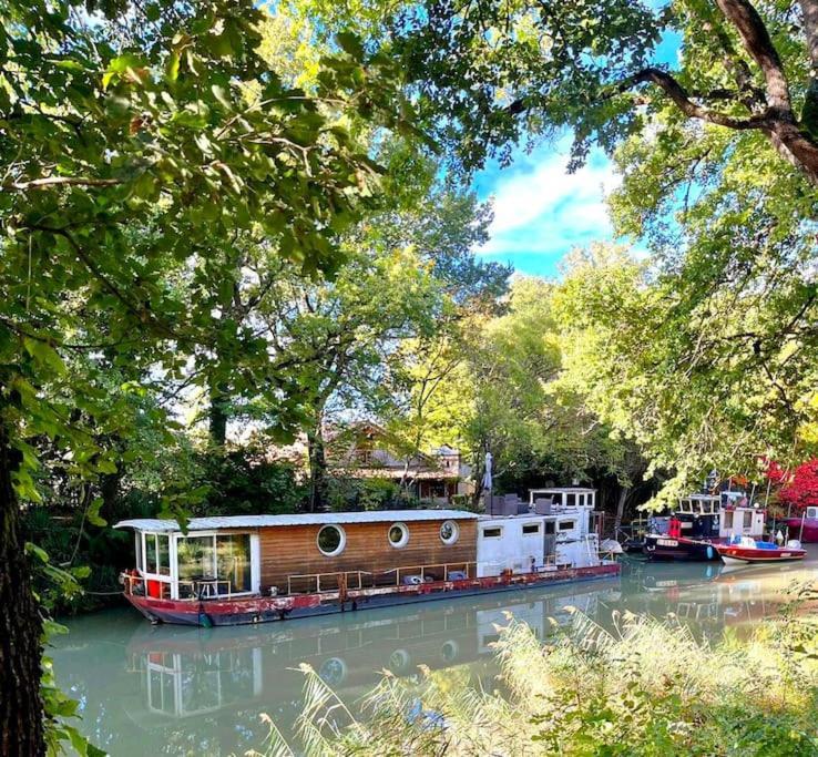 Insolite Peniche Amazonie Canal Du Midi Gardouch Exterior foto